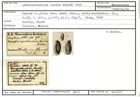 Karteikarte zum Syntyp von Quinqueloculina lucida Karrer, 1868
